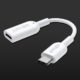 Anker USB-C auf Lightning Audio-Adapter