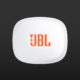 JBL Endurance Zone