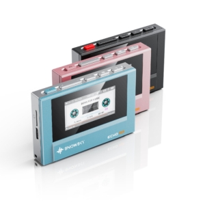 FiiO Snowsky Echo Mini Test